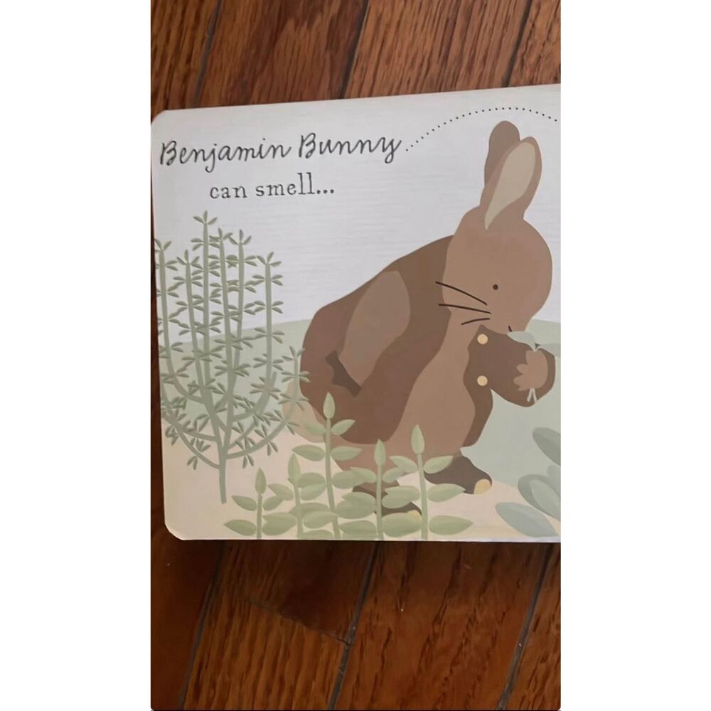 Set of 4 Adorable mini baby and toddler books for learning I spy ,Benjamin bunny - Picture 3 of 13
